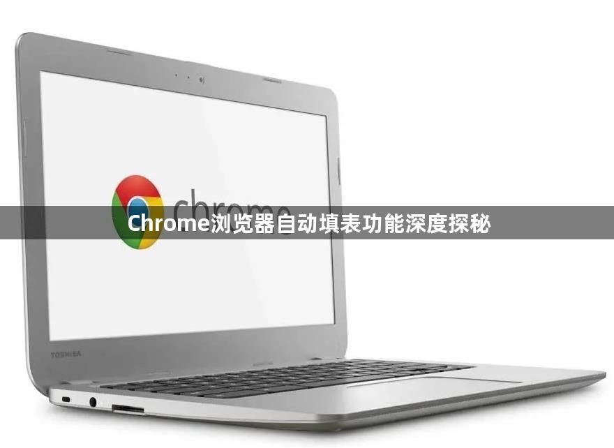 Chrome浏览器自动填表功能深度探秘1