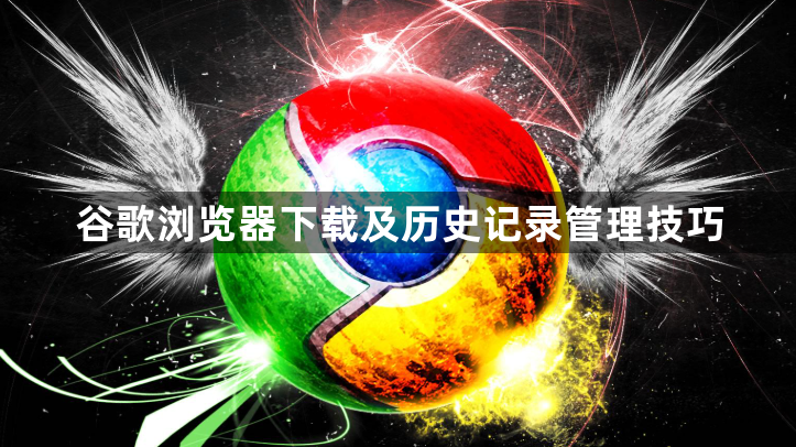 谷歌浏览器下载及历史记录管理技巧1