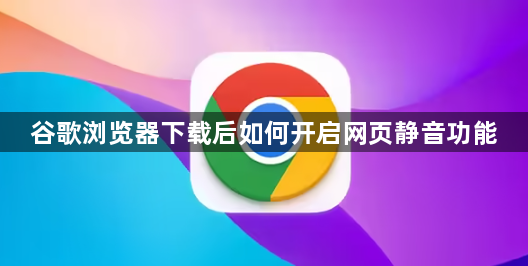 谷歌浏览器下载后如何开启网页静音功能1