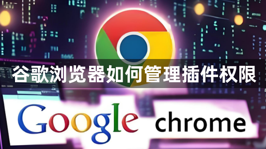 谷歌浏览器如何管理插件权限1