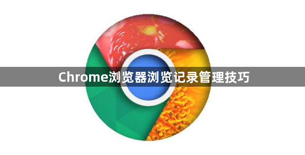 Chrome浏览器浏览记录管理技巧1