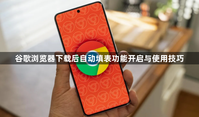 谷歌浏览器下载后自动填表功能开启与使用技巧1