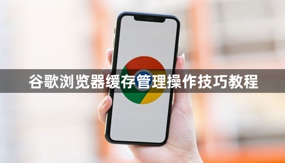 谷歌浏览器缓存管理操作技巧教程1